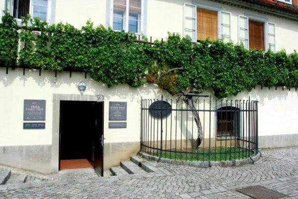 Apartma4Us Maribor Zewnętrze zdjęcie